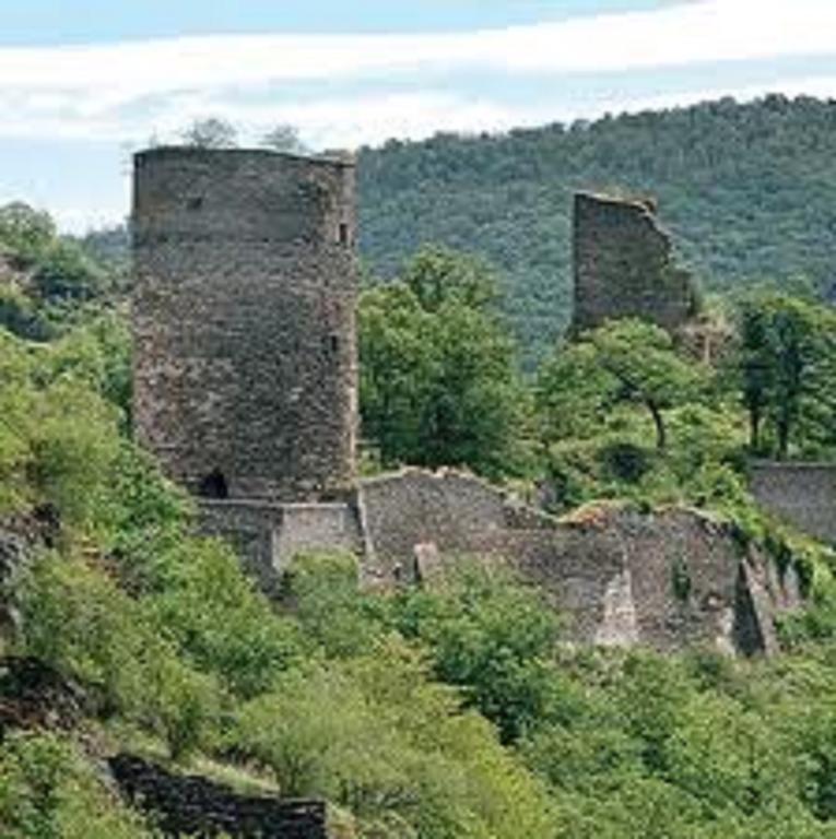 Steeger Tal Ξενοδοχείο Bacharach Εξωτερικό φωτογραφία